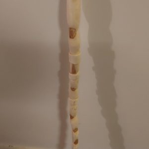 Willow walking sticks